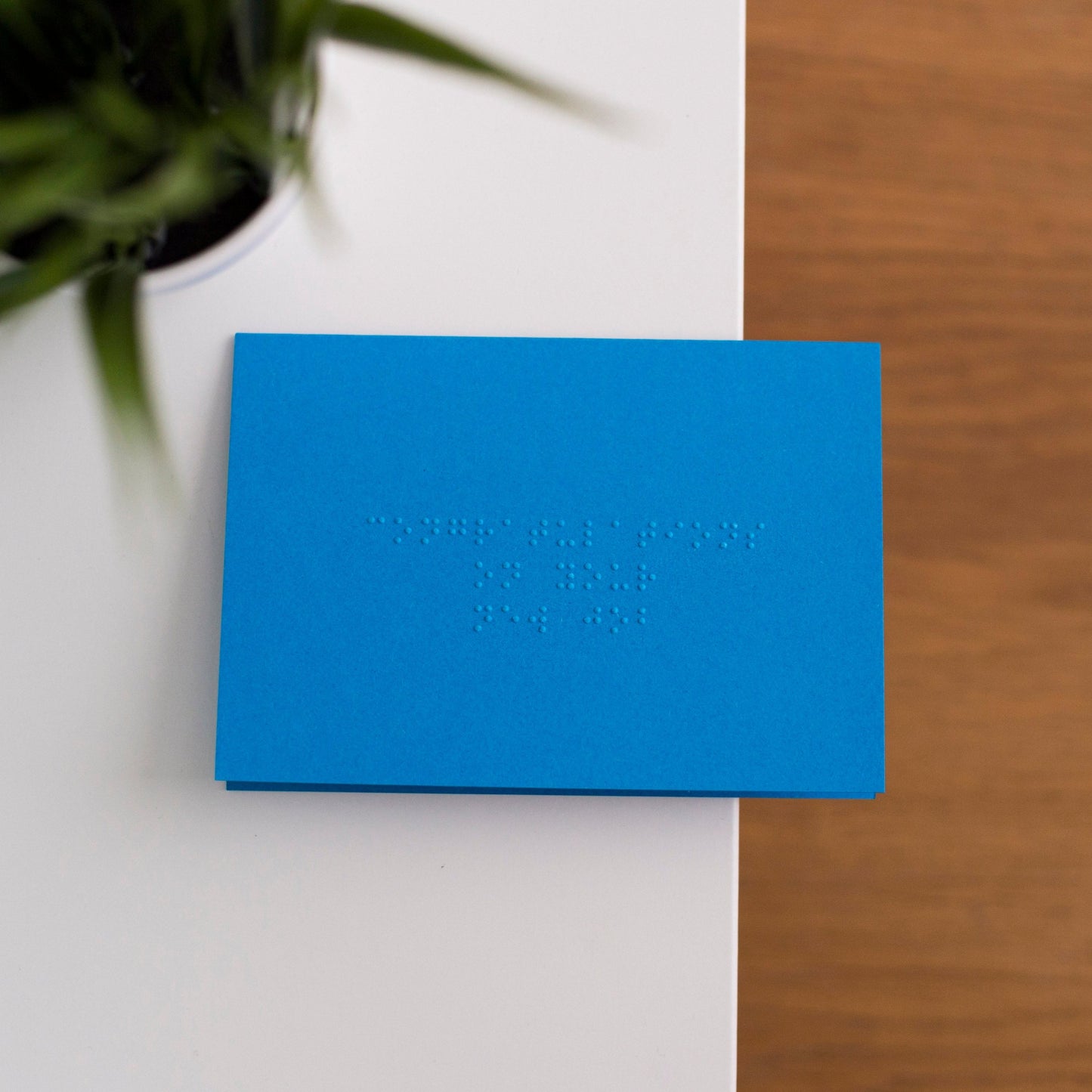 A vibrant blue card lay flat on a table with congratulations on your new job written in lower case grade one braille.