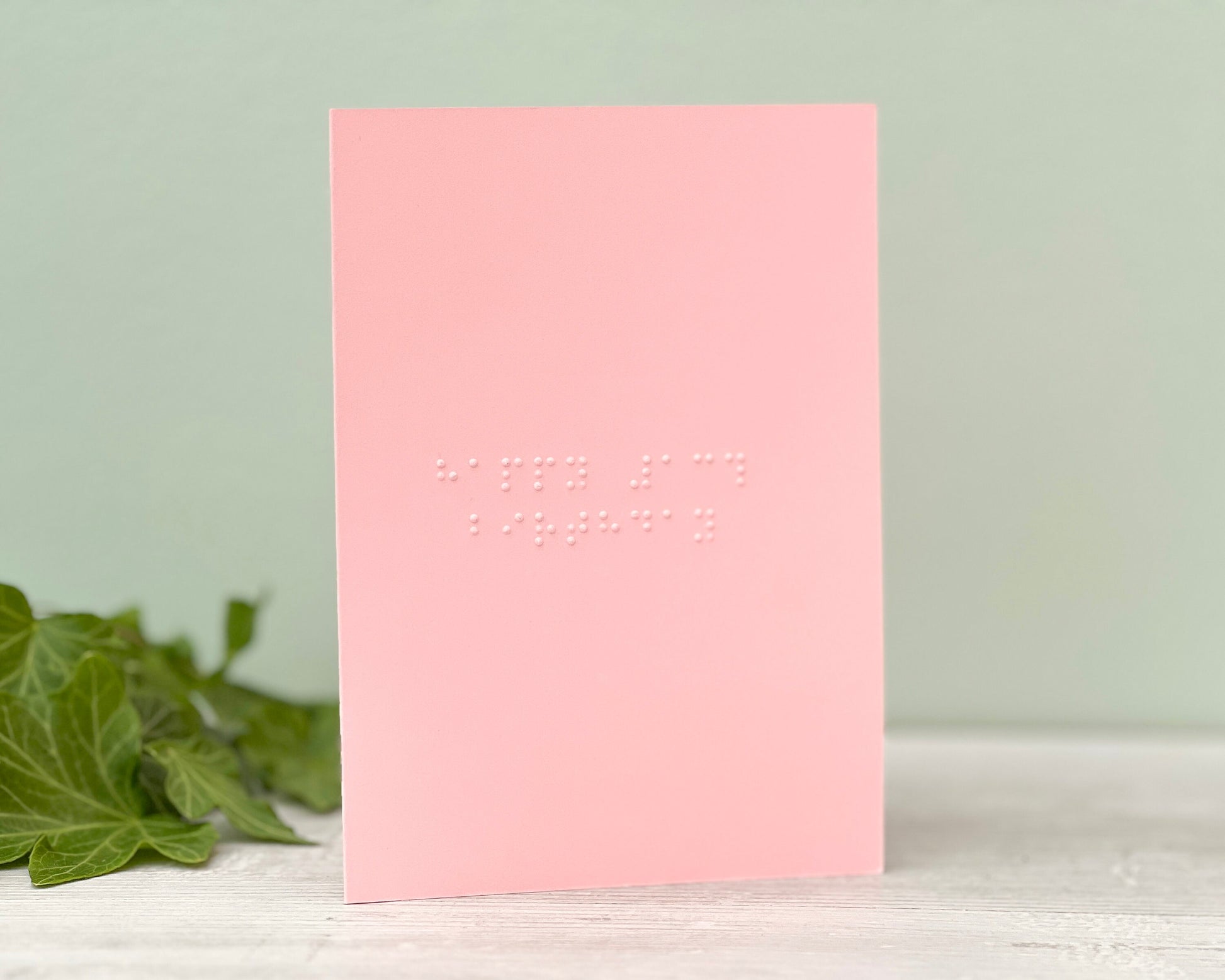 A pastel pink portrait greetings card with on your 13th birthday written in lower case braille. There is some foliage to the left of the photo.