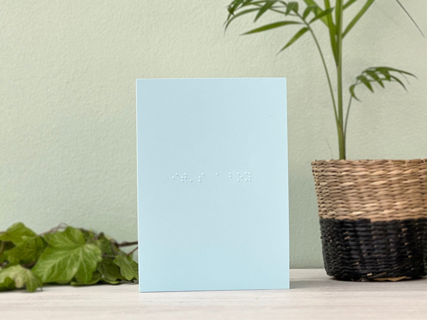 A pastel blue portrait card with &quot;it&#39;s a boy&quot; written in lower case braille. There is a plant to the right of the photo and foliage to the left.